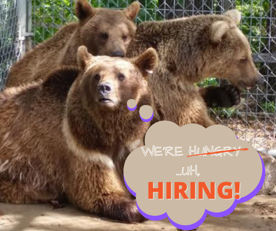 Zoo Supervisor FB Graphic (002)